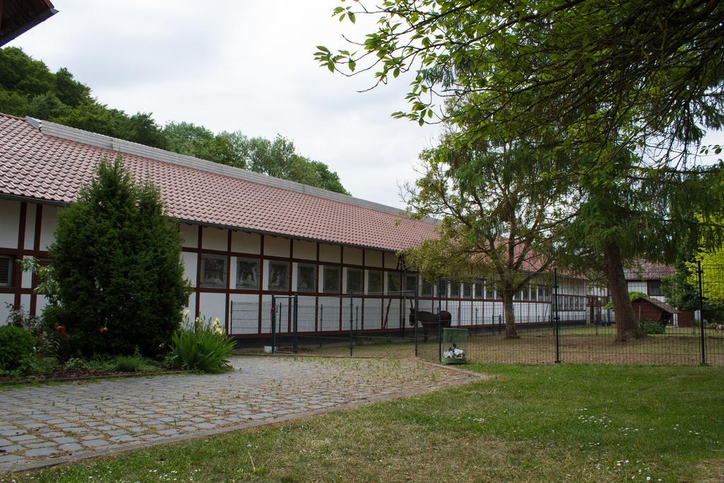 Gut Dankerode Apartment Dankerode  Bagian luar foto